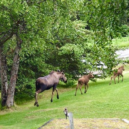 Halcyon Heights B&B/Inn Хоумър Екстериор снимка