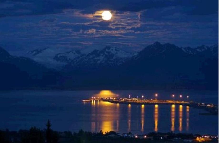 Halcyon Heights B&B/Inn Хоумър Екстериор снимка