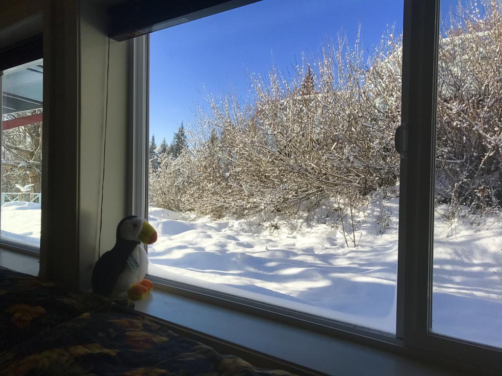 Halcyon Heights B&B/Inn Хоумър Екстериор снимка