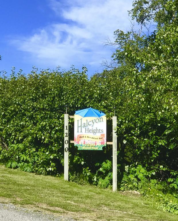 Halcyon Heights B&B/Inn Хоумър Екстериор снимка